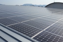 Paneles Solares Fotovoltaicos Cristalinos
