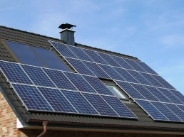 Paneles Solares Fotovoltaicos Cristalinos