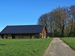 Paneles Solares Fotovoltaicos Cristalinos